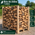Chêne 30 cm
